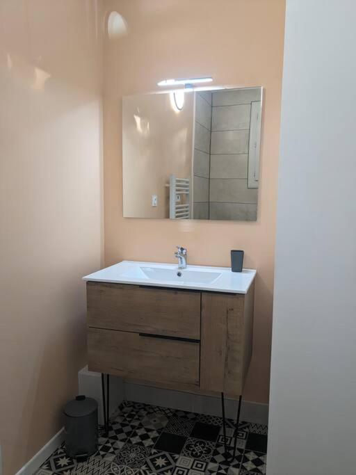 Appartment - Vue Imprenable Sur La Cite Medievale - Parking Gratuit - Climatise Carcassonne Dış mekan fotoğraf